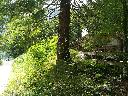 IMG_20190801_133539